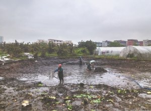 黑河河道鱼塘清淤